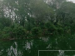 -北湖公园