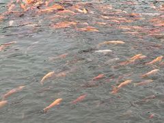 -千龙湖生态旅游度假区