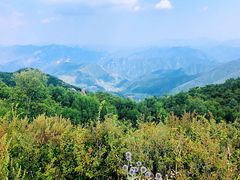 -白草畔自然风景区