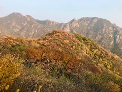 -大岭沟猕猴桃谷风景区