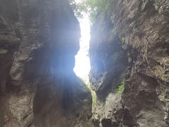 -牛背梁国家森林公园