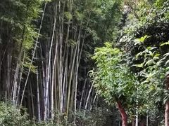 -广州市干部健康管理中心