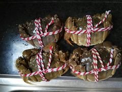 -丫丫蟹庄·苏式园林农家乐·阳澄湖大闸蟹(阳澄湖莲花岛店)