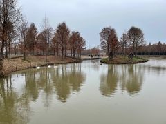 -宁波杭州湾国家湿地公园