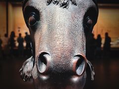 -广西壮族自治区博物馆