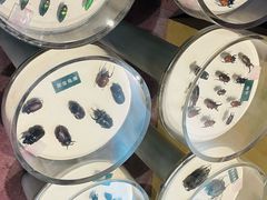 -陕西自然博物馆