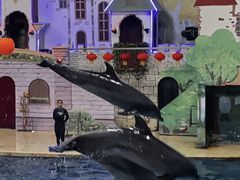 -台州海洋世界