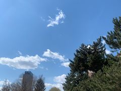 -沈阳大商千盛购物中心有限公司(长江街店)