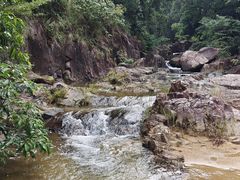 -广州白江湖森林公园