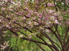-贵阳市花溪国家城市湿地公园