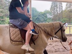 -太阳岛度假酒店