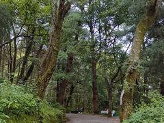 -苍山感通索道