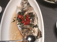 -味到1981日照海鲜·渔饺子