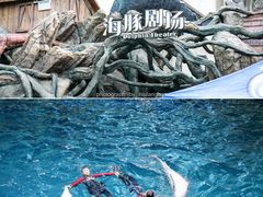 -郑州海洋馆