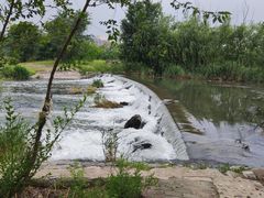 -永定河休闲森林公园