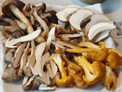 -蘑统田下·野生菌火锅