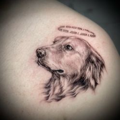 -PinooTattoo皮奴刺青纹身设计总部