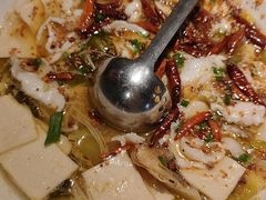-九毛九西北菜(百信广场店)