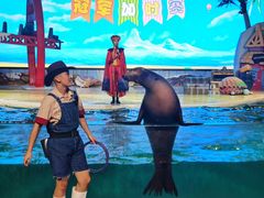 -三亚海昌梦幻海洋不夜城