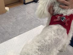 -安安宠医·臻爱宠物医院·宠保定点(营门口路分院)