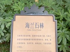 -海兰云天度假区温泉