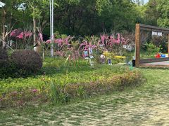 -金鸡湖桃花岛