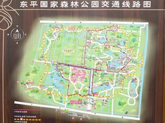 -东平国家森林公园