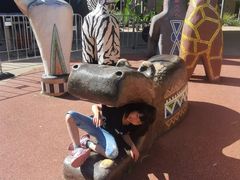 -威勒比开放式动物园