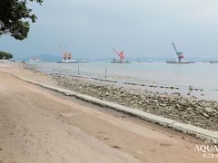 -大湾区中央湿地公园