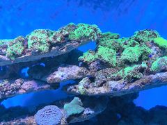 -海合安青岛极地海洋公园