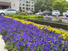 -河南省黄河迎宾馆