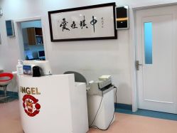 -北京安琪