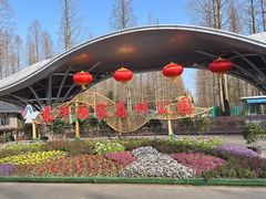 -东平国家森林公园