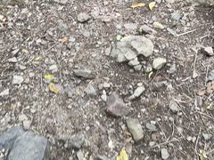 -云岫谷游猎自然风景区