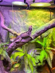 -酷嗒动物文化乐园(cutezoo西溪乐天城店)