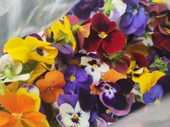 -岳各庄批发市场(西四环中路店)