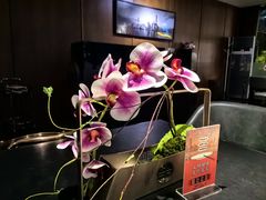 -RIVIERA 松鹤楼(外滩店)