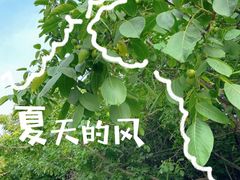 -北运河水利风景区