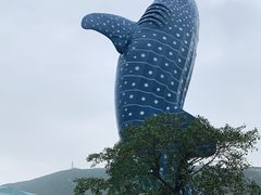 -珠海长隆海洋王国