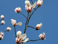 -广富林郊野公园