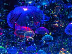 -天津梵高星空艺术馆(天河城旗舰店)