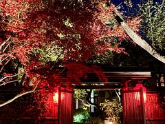 -新荣记(西溪湿地店)