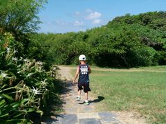 android_upload_pic-鹅銮鼻公园