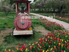 -石家庄市植物园