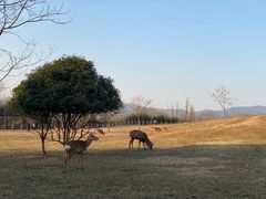 -良渚古城遗址公园