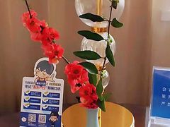 -东航云逸酒店(九溪烟树店)
