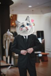 -Mr.Royal御匠先生·手工全麻衬衣西服定制