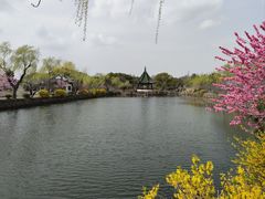 -无锡蠡湖国家湿地公园-蠡园