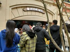 -龍城柳州螺蛳粉(群星路店)