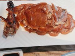 -草窝烤鸭·新京菜(振华广场店)